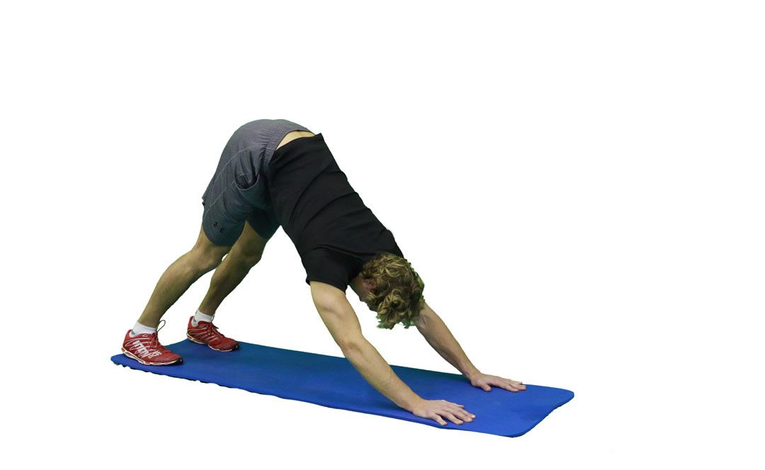 Downward Facing Dog — demonstration 2