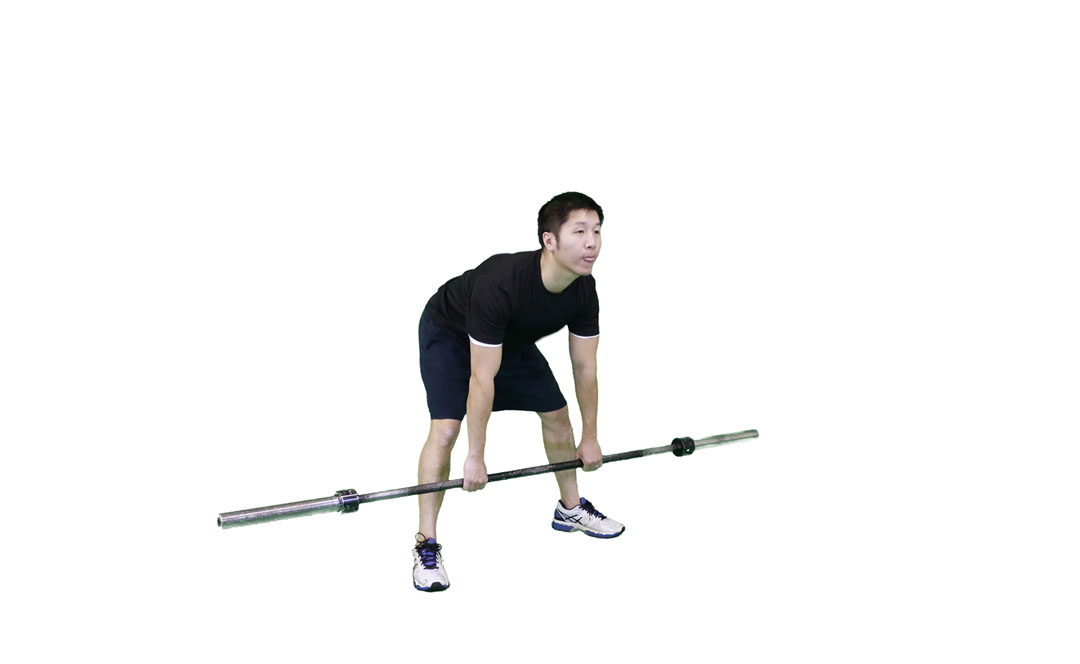 Barbell Stiff-Leg Deadlift Wide Stance — demonstration 2