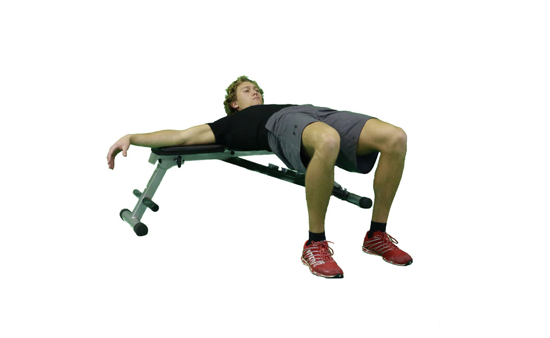 Bench Hip Thrust — demonstration 2