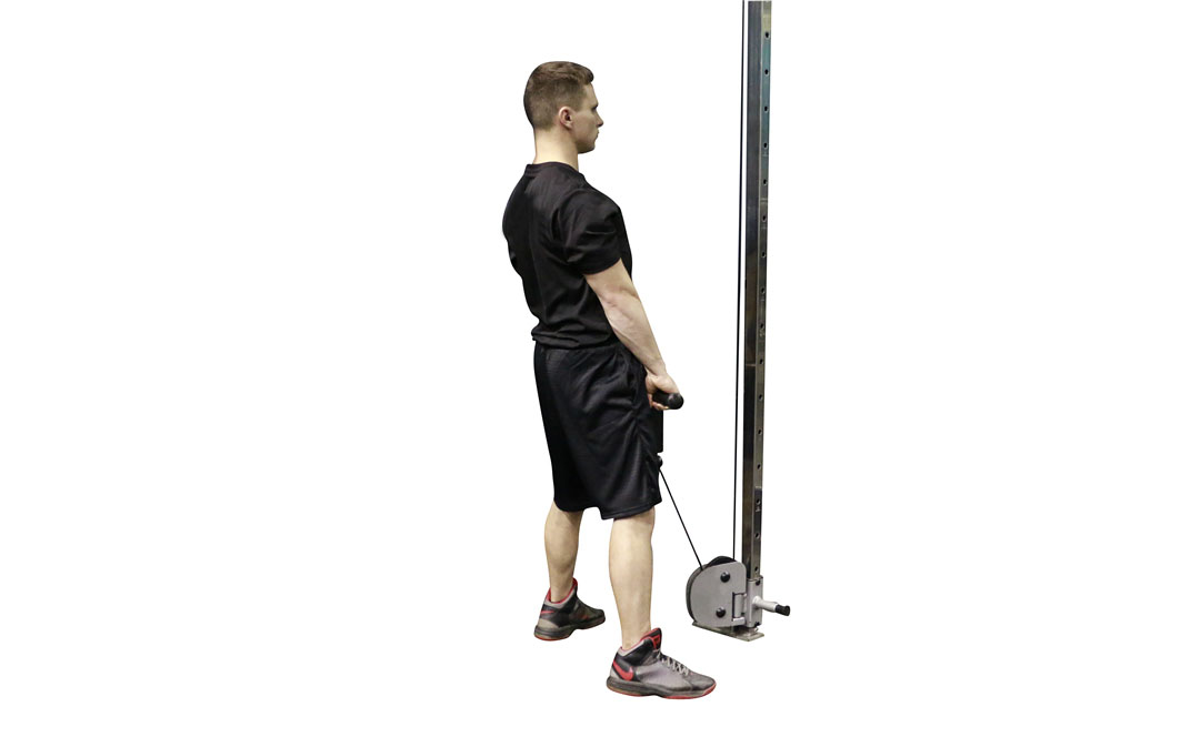 Cable Elevated Row — demonstration 2