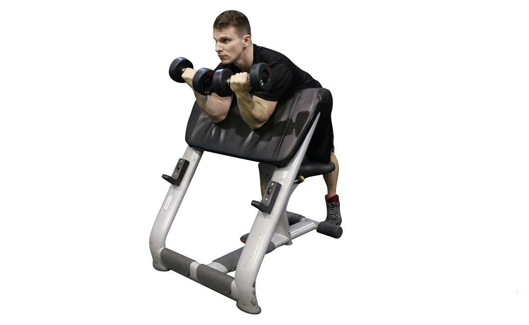 Dumbbell Preacher Curl — demonstration 2