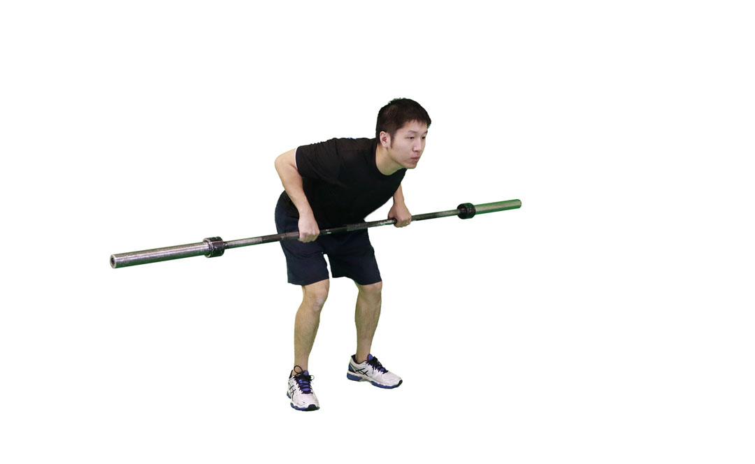 Barbell Bent-Over Row — demonstration 2