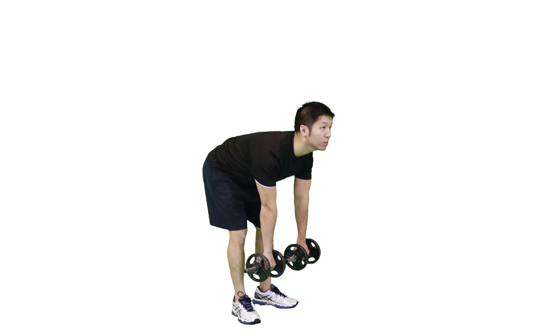 Dumbbell Stiff-Leg Deadlift — demonstration 2