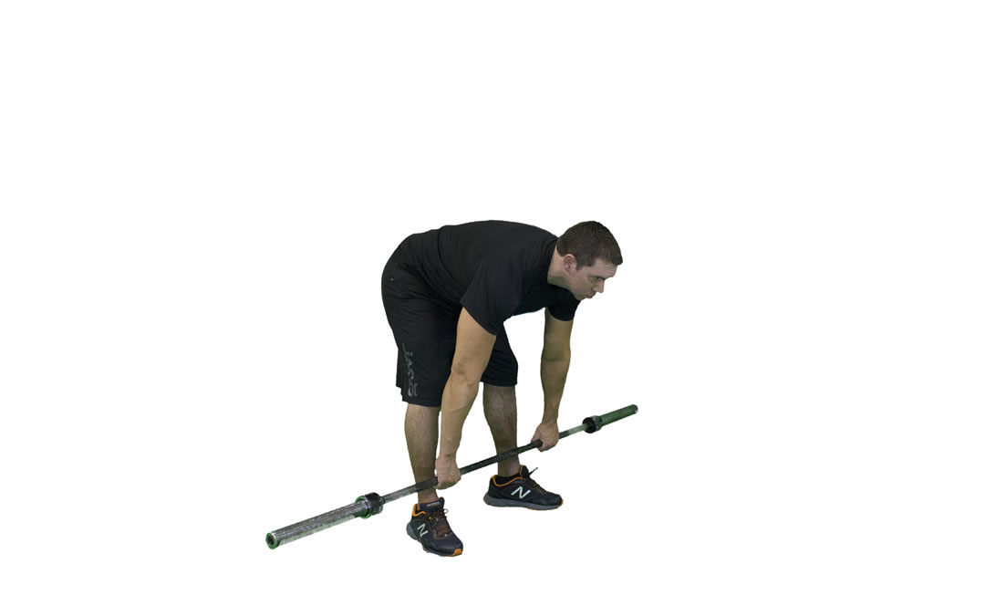 Barbell Romanian Deadlift — demonstration 2