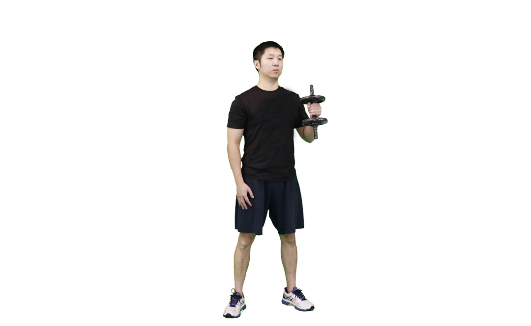 Dumbbell One-Arm Hammer Curl — demonstration 2