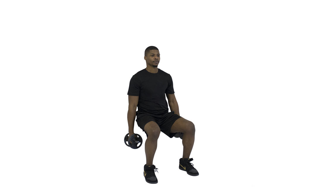 Dumbbell Wall Squat — demonstration 2
