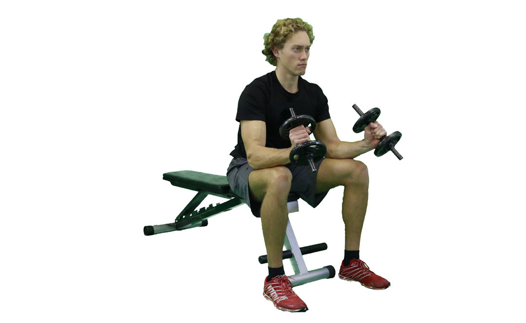 Dumbbell Seated Wrist Curl Neutral Grip — demonstration 2