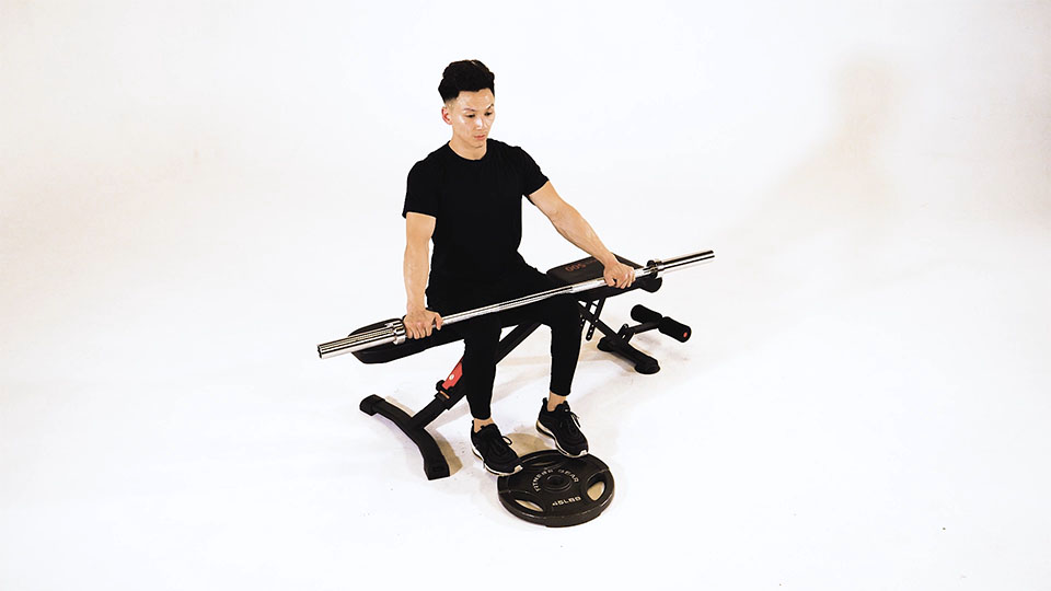 Barbell Seated Calf Raise — demonstration 2
