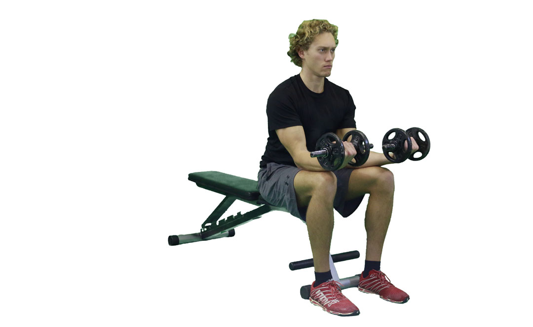 Dumbbell Seated Wrist Curl — demonstration 2