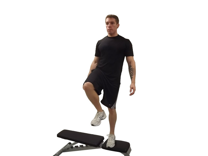 Bodyweight Step-Up — demonstration 2