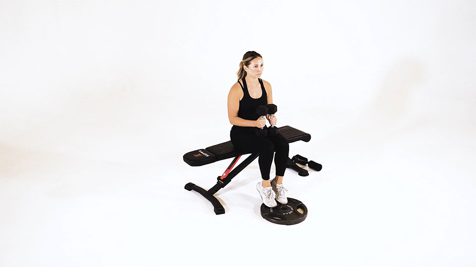 Dumbbell Seated Calf Raise — demonstration 2