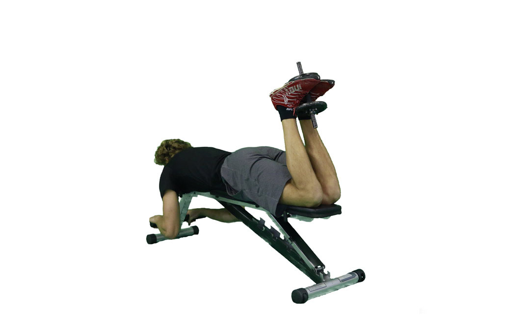 Dumbbell Hamstring Curl — demonstration 2