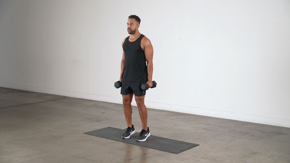 Dumbbell Calf Raise — demonstration 2