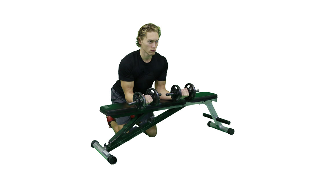 Dumbbell Wrist Curl Palms Up — demonstration 2