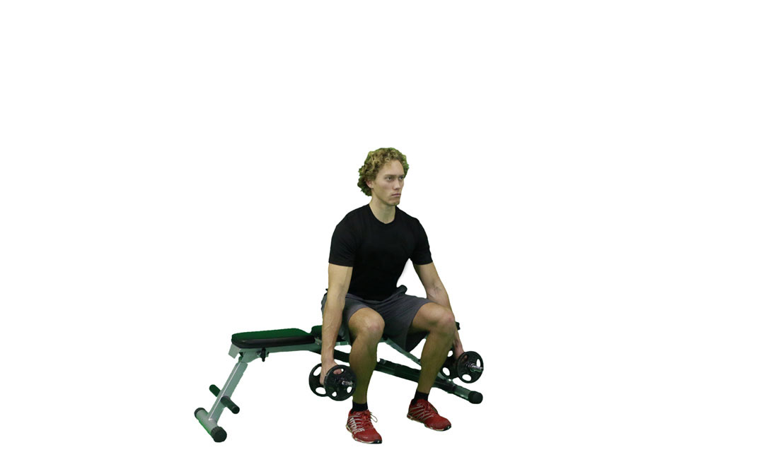 Dumbbell Bench Squat — demonstration 2