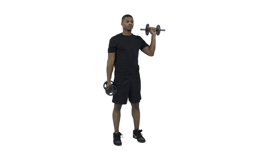 Dumbbell Alternating Reverse Curl — demonstration 2