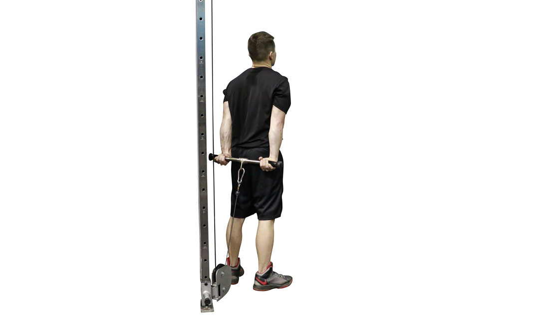 Cable Behind the Back Wrist Curl — demonstration 2
