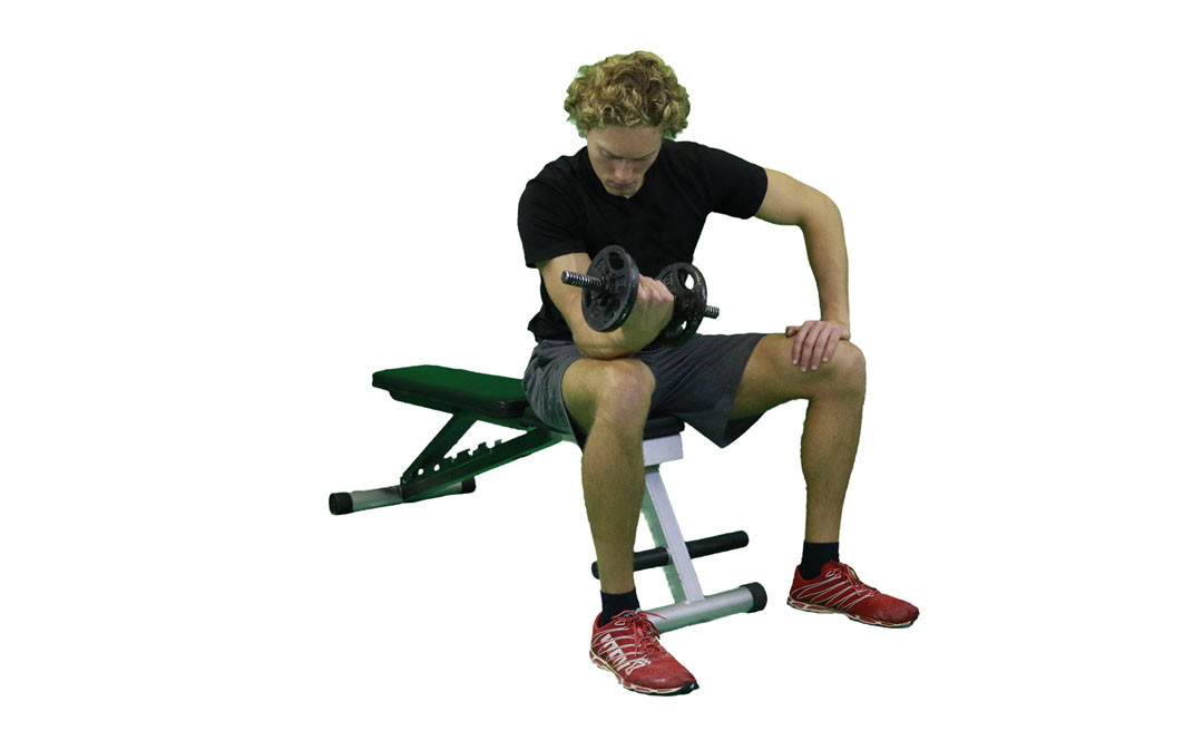 Dumbbell Supinated One-Arm Wrist Curl — demonstration 2