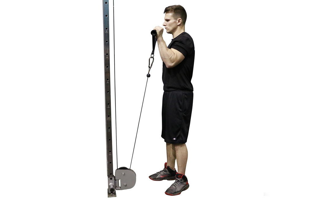 Cable One-Arm Reverse Curl — demonstration 2