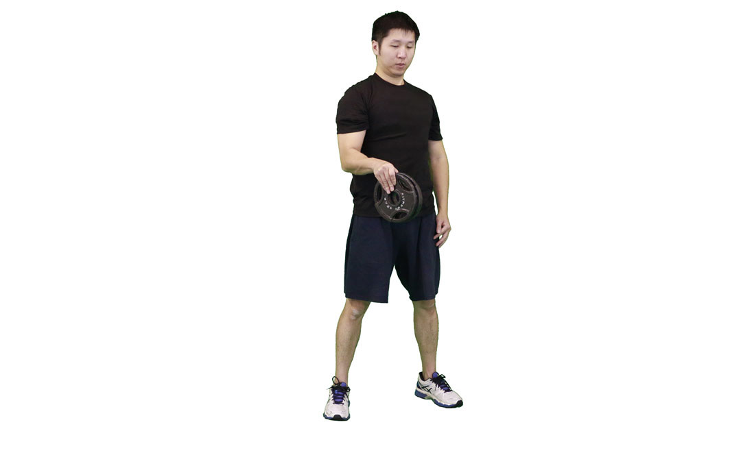 Weight Plate Pinch — demonstration 2
