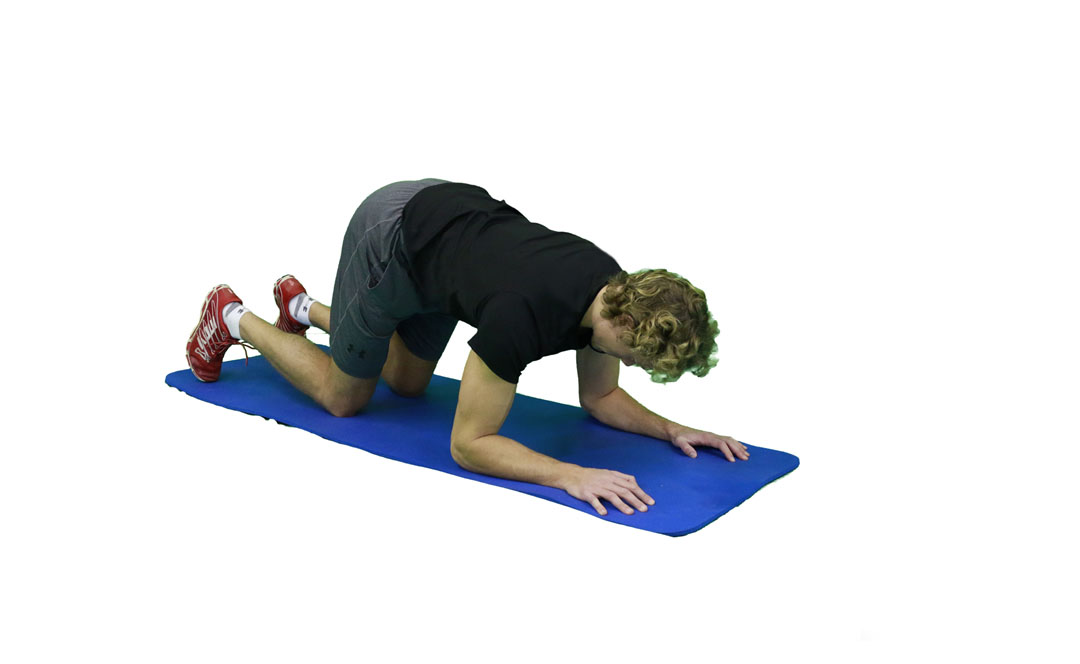 Modified Push-Up to Forearms — demonstration 2
