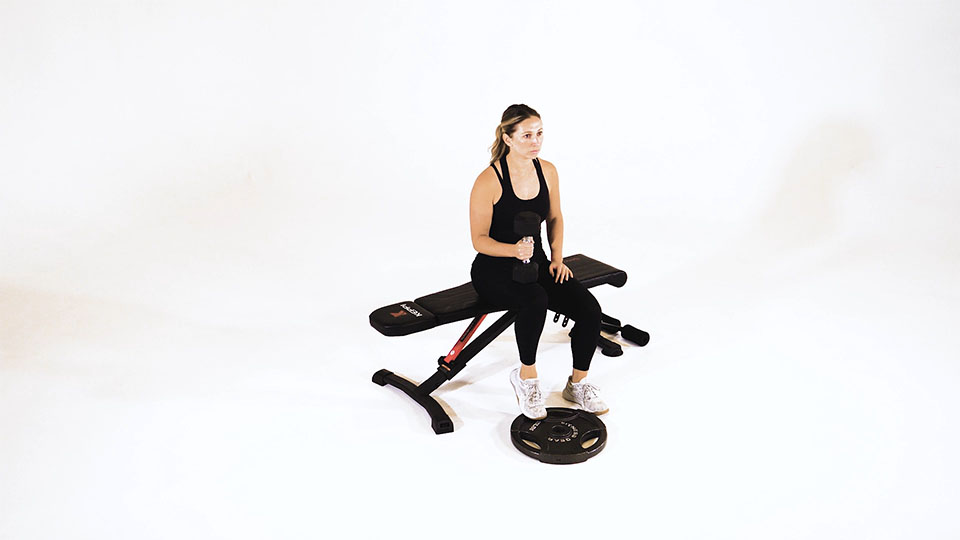 Dumbbell Single-Leg Calf Raise — demonstration 2