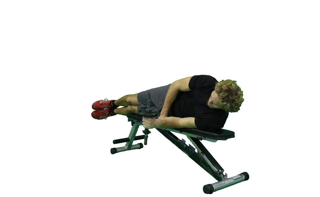 Dumbbell Pronation Side-Lying — demonstration 2