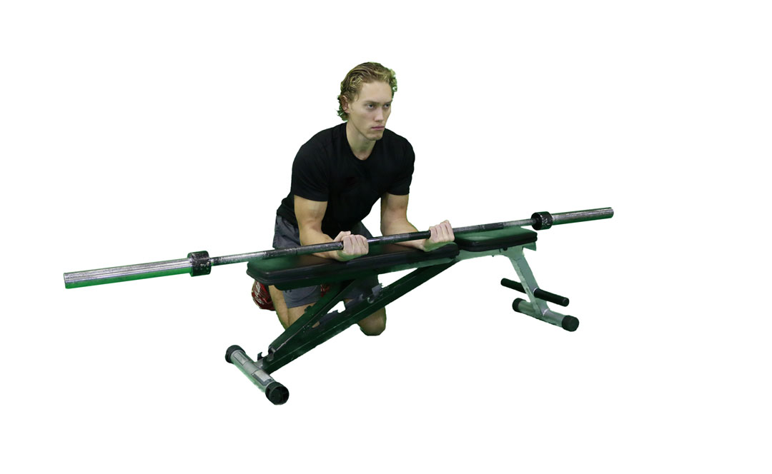 Barbell Wrist Curl Palms Up — demonstration 2