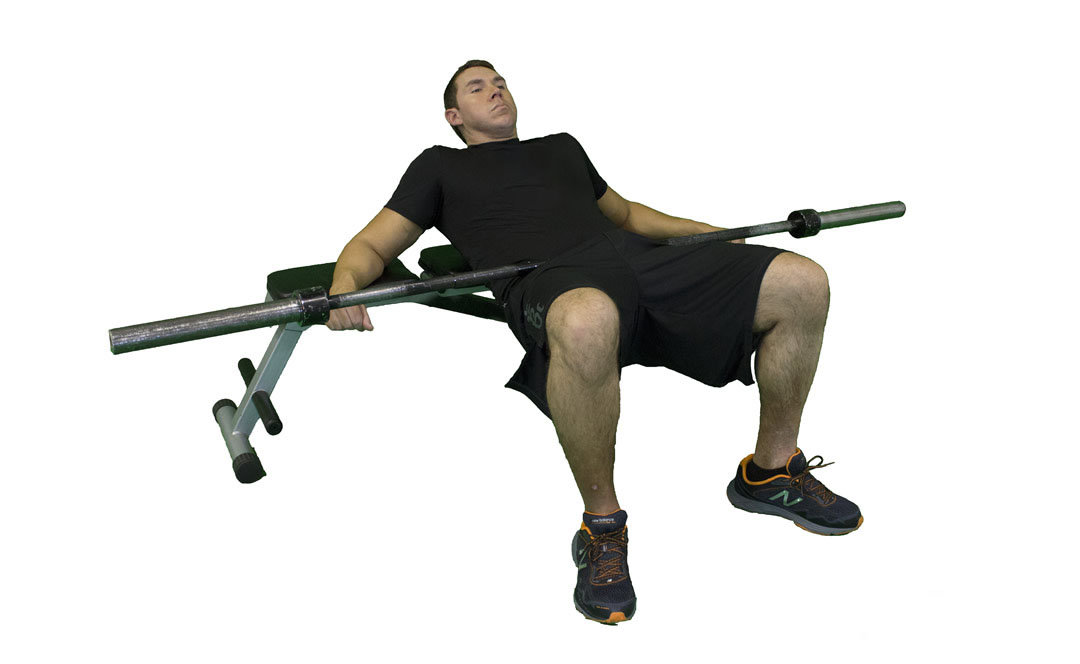 Barbell Hip Thrust — demonstration 2