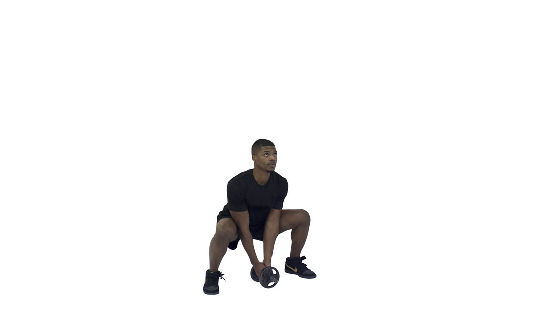 Dumbbell Plie Squat — demonstration 2