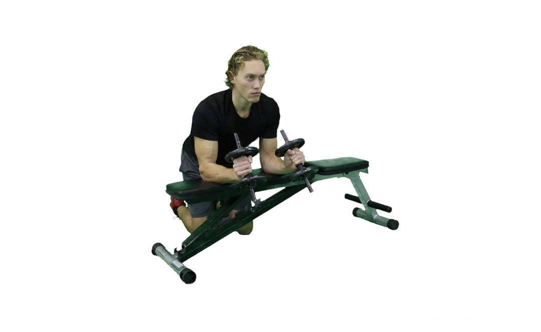 Dumbbell Wrist Curl Neutral Grip — demonstration 2