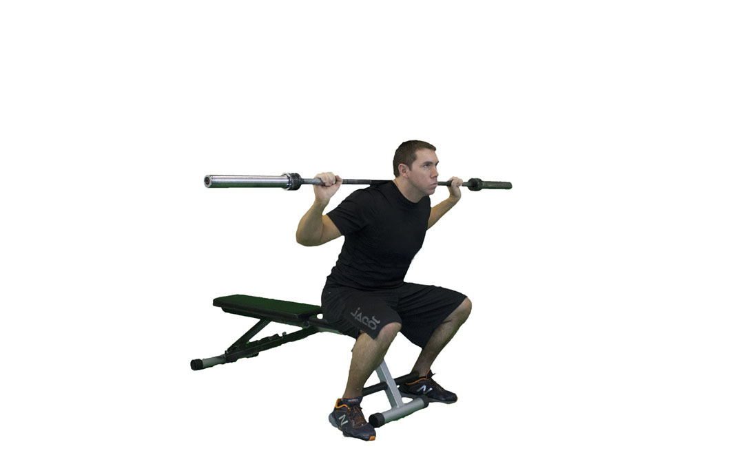 Barbell Bench Squat — demonstration 2