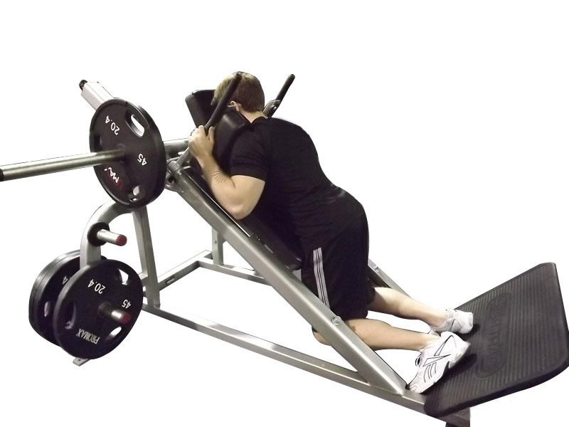 Hack Squat Reverse Position — demonstration 2