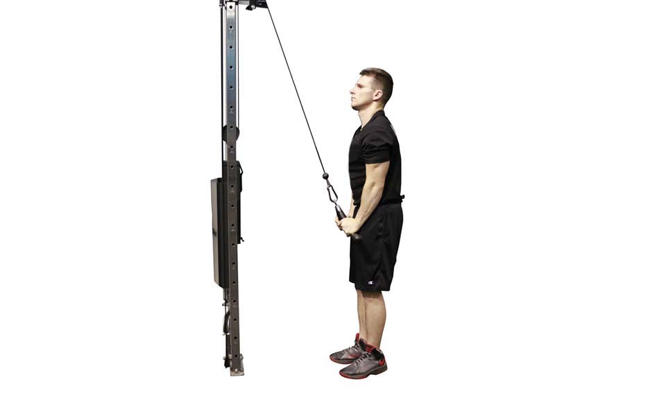 Cable Tricep Pushdown V-bar — demonstration 2