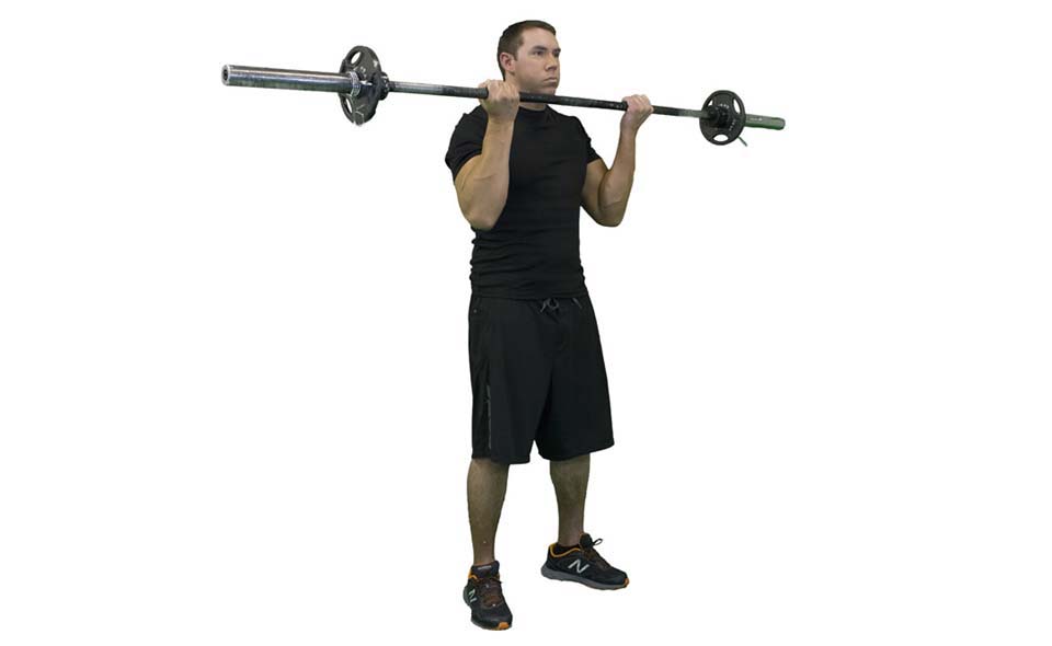 Barbell Curl — demonstration 2